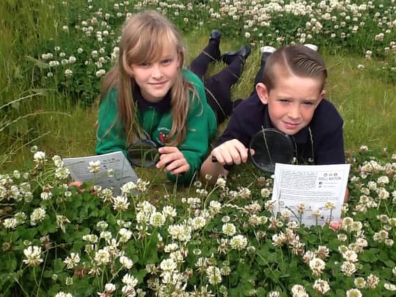 Stevie-Marie Scothern and Charlie Stewart taking part in the pollination survey.