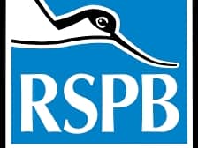 RSPB Logo