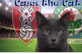 Cass the cat has been predicting Blackburn Rovers' results this season