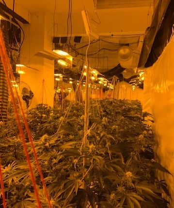 Inside the cannabis farm. Pic: South Yorkshire Police
