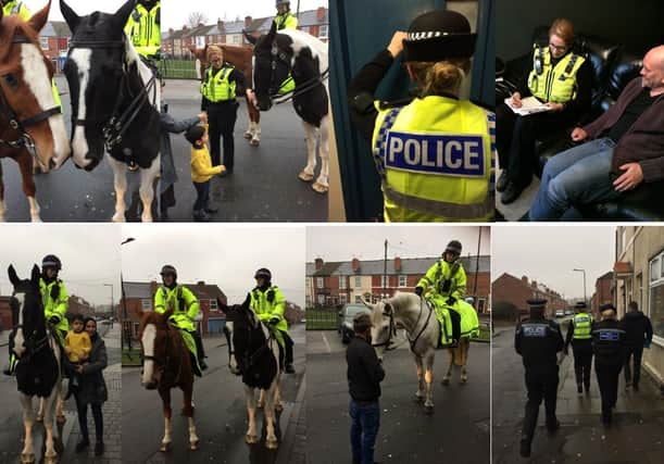 Pictures of the horses visiting Eastwood