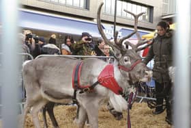 A previous reindeer parade event