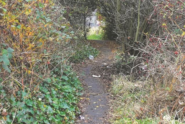 Canklow Woods