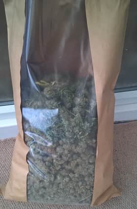 This cannabis was seized by police at a house in Mexborough