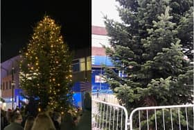 The tree before and after the vandalism