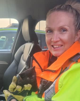 Emma Newell and the kitten rescued from the M1
