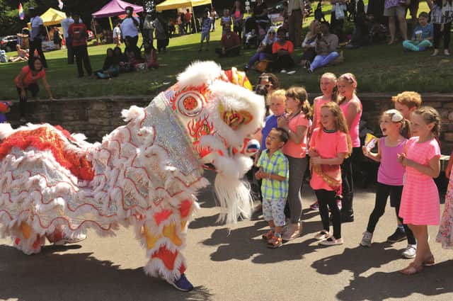 Rotherham Ethnic Minority Alliance hosted the first Mel Asia event at Clifton Park on Saturday. The Sheffield Lion Danceres proved a great hit with the crowds. 171178-12