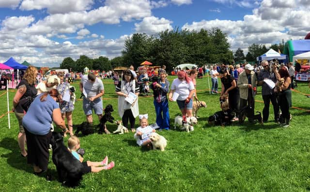 Some of the winners of the Fun Dog Show