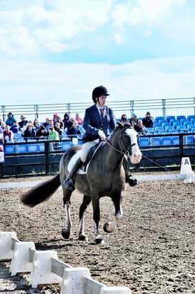 Ellis Wilson representing Scotland West riding Tom during the first days events at the Parklands Equestrian Centre at Aston. 171381-8
