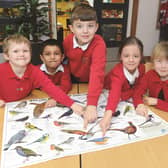 Members of the Habitat Club at Thorpe Hesley Primary School are seen taking part in the RSPB Schools Birdwatch, counting birds for the annual bird count and nature watch. Seen identifying birds (left to right) are: Brandon (6), Jo (7), Harley (8), Darcy (6) and Mia (7). 170126-3