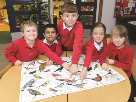 Members of the Habitat Club at Thorpe Hesley Primary School are seen taking part in the RSPB Schools Birdwatch, counting birds for the annual bird count and nature watch. Seen identifying birds (left to right) are: Brandon (6), Jo (7), Harley (8), Darcy (6) and Mia (7). 170126-3