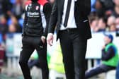 Paul Warne and Reading boss Jaap Stam on the touchline