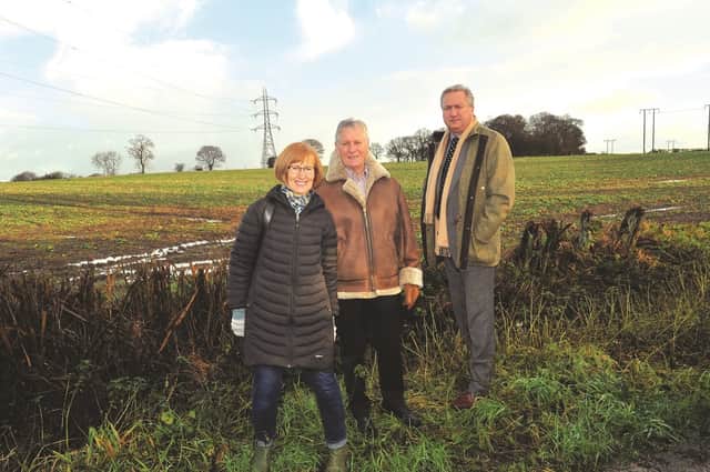 Wickersley Parish councillors, Andrew Bates, Peter Thirlwall and Maggie Godfrey, at the site near Moat Lane where they helped fight off a proposed battery facility. 180070-2