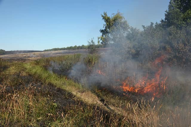 Photo of another grass fire, issued by SYFR.