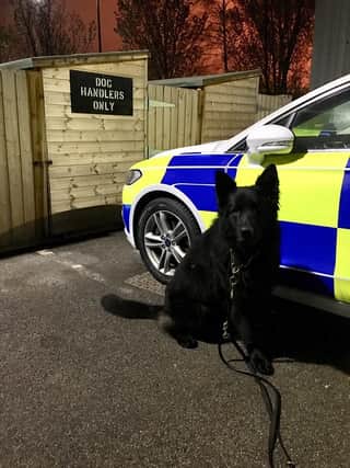 Police dog Dexter helped to find a missing man in South Anston last night (Wednesday).