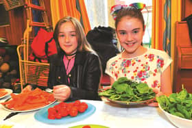 Pictured on their salad stall is Holly Fitton (left) and Millie Davies. 170581-1