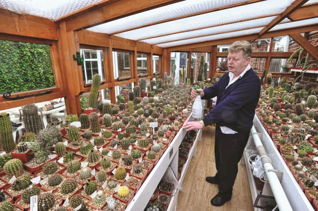 Pete Cowdell of the British Cactus and Succulent Society