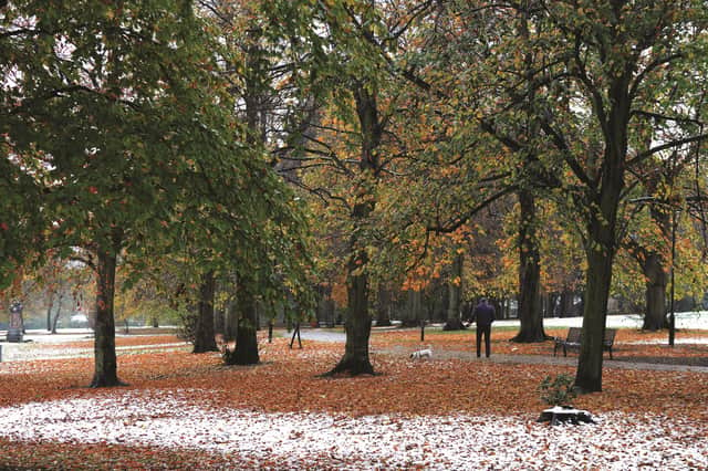 A dusting of snow in Rosehill Park in November 2016