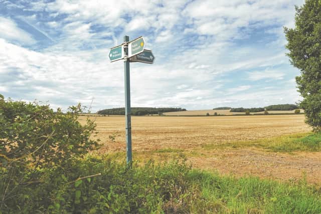 The site at Woodsetts