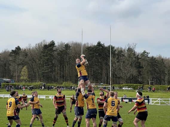 Matt Challinor rises high to win a lineout for Rotherham Titans in the victory Harrogate.
