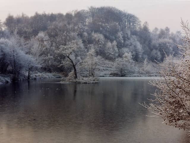Icy scene at Ravenfield Ponds.