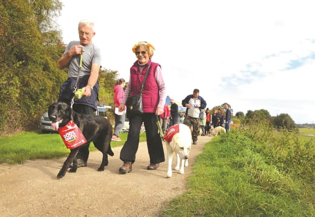 Last year's sponsored dog walk around Thrybergh Country Park for Guide Dogs for the Blind. 161684-2