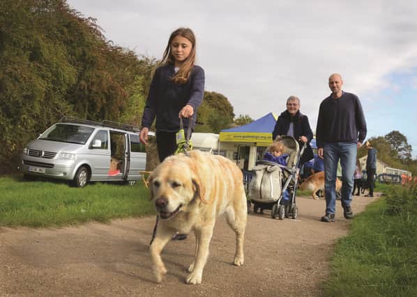 Dog lovers took their pets for a sponsored stroll at Thrybergh last October.