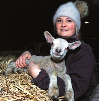 Shepherd Lizzie Spencer is hoping Advertiser readers can come up with a festive name for one of the three new lambs.