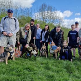 XL Bully walk at Rother Valley Country Park