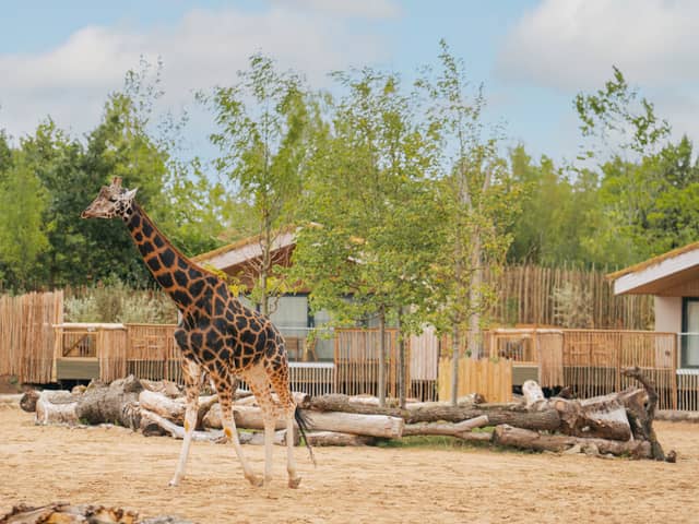 The Reserve at Chester Zoo is set to welcome its first guests this week.
