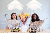 SHEBA have teamed up with Brit-nominated musician Cat Burns to launch its Ignored to Adored campaign.
