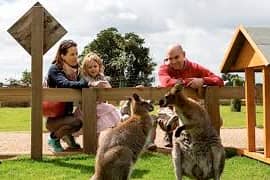 Dads go FREE this Father’s Day at Yorkshire Wildlife Park.