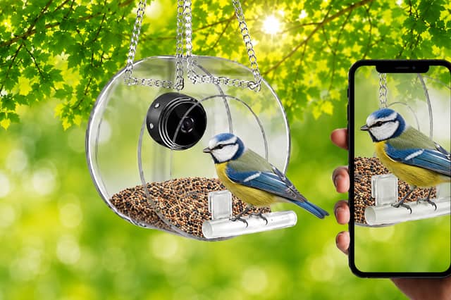 This is one of the cheapest smart bird feeders on sale right now