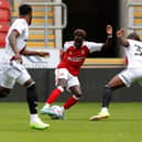 Fabio Tavares looks to be a decent signing, as all the Rotherham United new boys do.