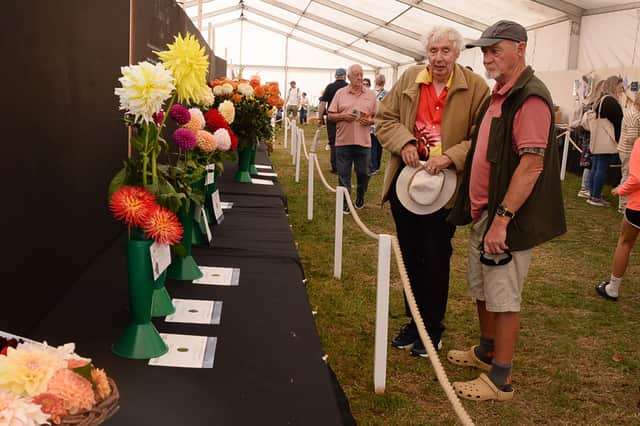 The annual horticulture show last year