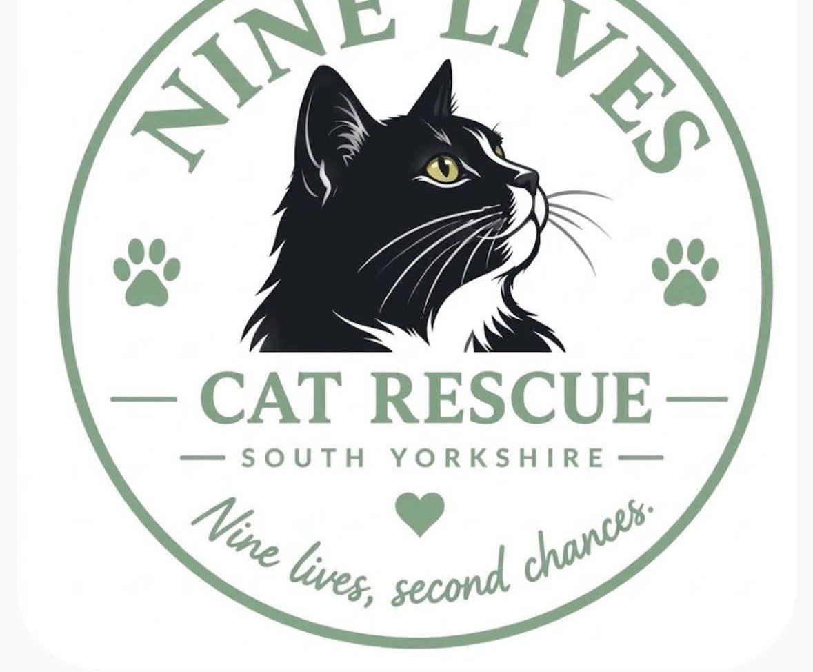Cat charity getting spooky for fundraising Halloween event