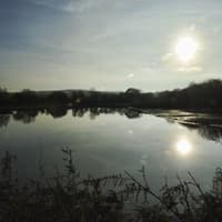 Drought declared in Rotherham and rest of Yorkshire - but there's no need to hang up the hosepipe yet