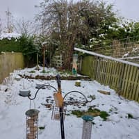 Why not provide a top class fast food service for our feathered friends?