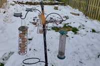 A bird feeding station