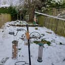 A bird feeding station