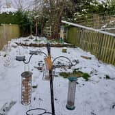 A bird feeding station