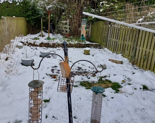 A bird feeding station