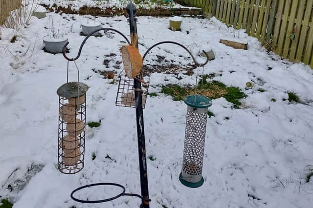 A bird feeding station