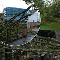 In pictures - Trail of destruction left behind by Storm Boelo after wreaking havoc in Rotherham
