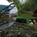 Storm Boelo has left a trail of destruction behind in Rotherham