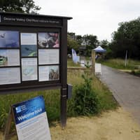 Things are getting spooky this week at Rotherham nature reserve