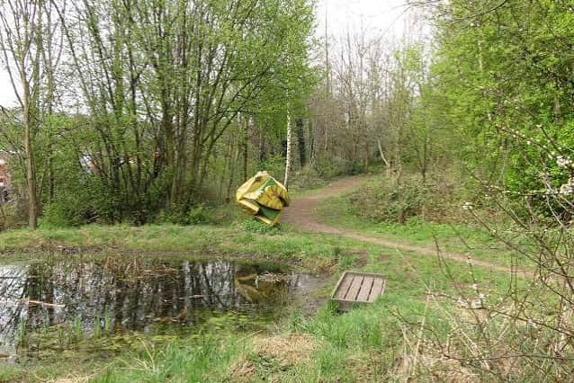 Sunnybank Nature Reserve
