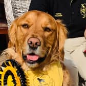 Chester is top dog after his award win