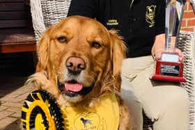 Chester is top dog after his award win