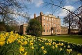 Springtime daffodils blooming in the gardens of Middlethorpe Hall & Spa. Image: Bailey Cooper Photography